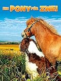 flachmann kaufen  Ein Pony für Zwei