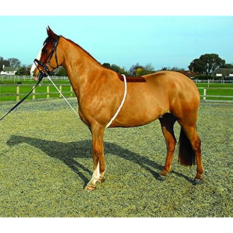 Rhinegold Soft Lunge Aid,White Cover