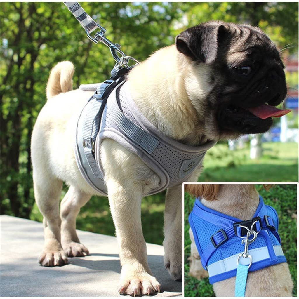 Pet Dog Chest Harness and Leash Set Breathable Adjustable Dog Harness Suitable for Small and Medium-Sized Puppies Vest (A L)