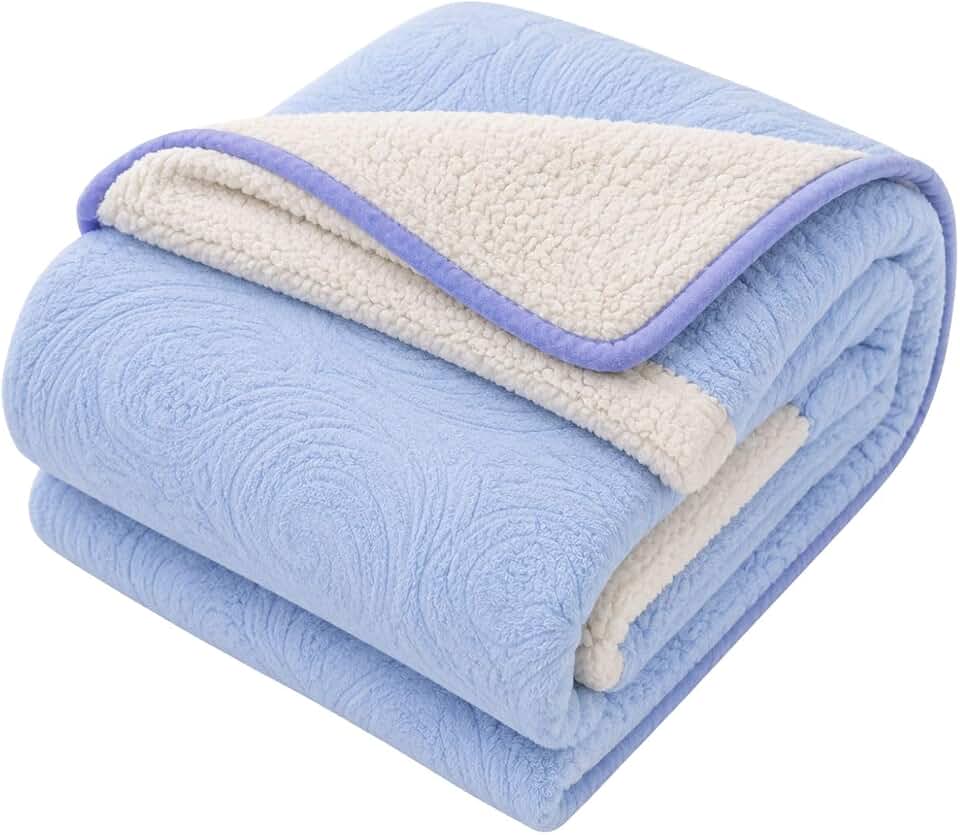 Cobertor Sherpa Casal Jacquard Dupla Face 2,20x1,80m Manta Grossa Macia Quentinha (Azul Bebê)