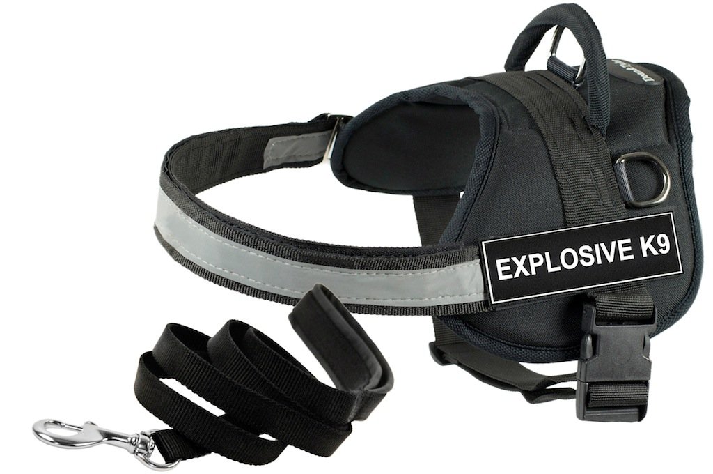 Harnais Explosive K9 Dean et Tyler noir taille S avec laisse en nylon de 1,8 m