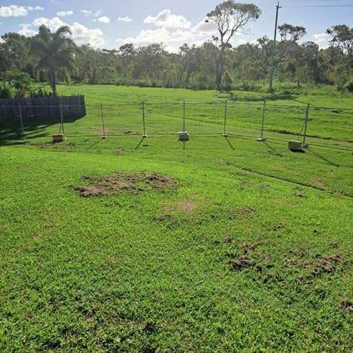 Sinkholes force closure of popular Wide Bay park