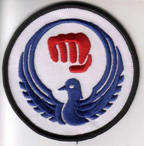 Set di 4 toppe ricamate da cucire con Karate Shotokan