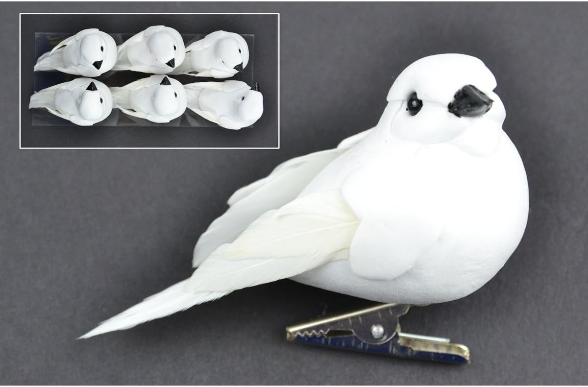 Touch of Nature21237 6-Piece Mushroom/Feather Dove Assortment on Clip in Acetate Box for Arts and Crafts, 3-Inch, White