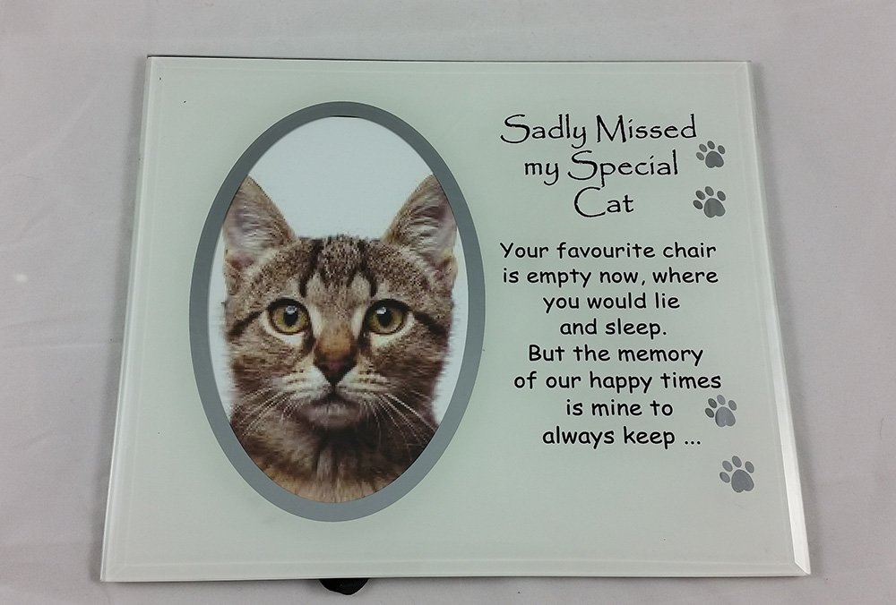Cat Memorial Photo Frame Sadly Missed Glass Pet Memory Keepsake David Fischhoff