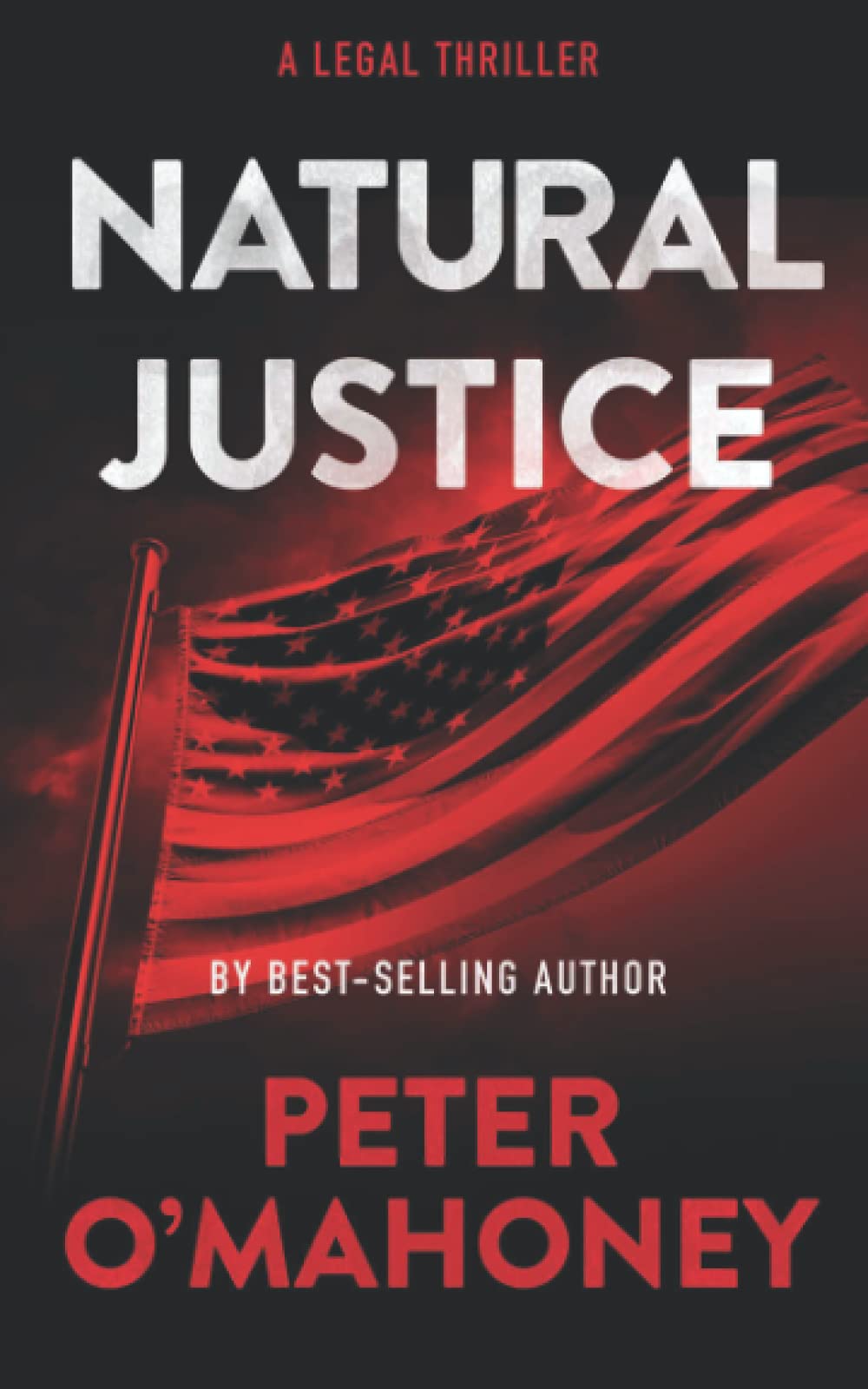 Natural Justice : A Legal Thriller