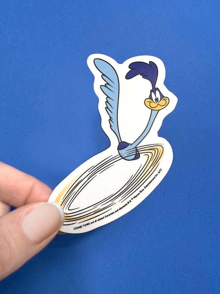 Amazon.com: Paper House Productions Looney Tunes Road Runner Vinyl