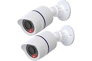 WALI Dummy Fake Security Camera: Enhanced Surveillance for Peace of Mind