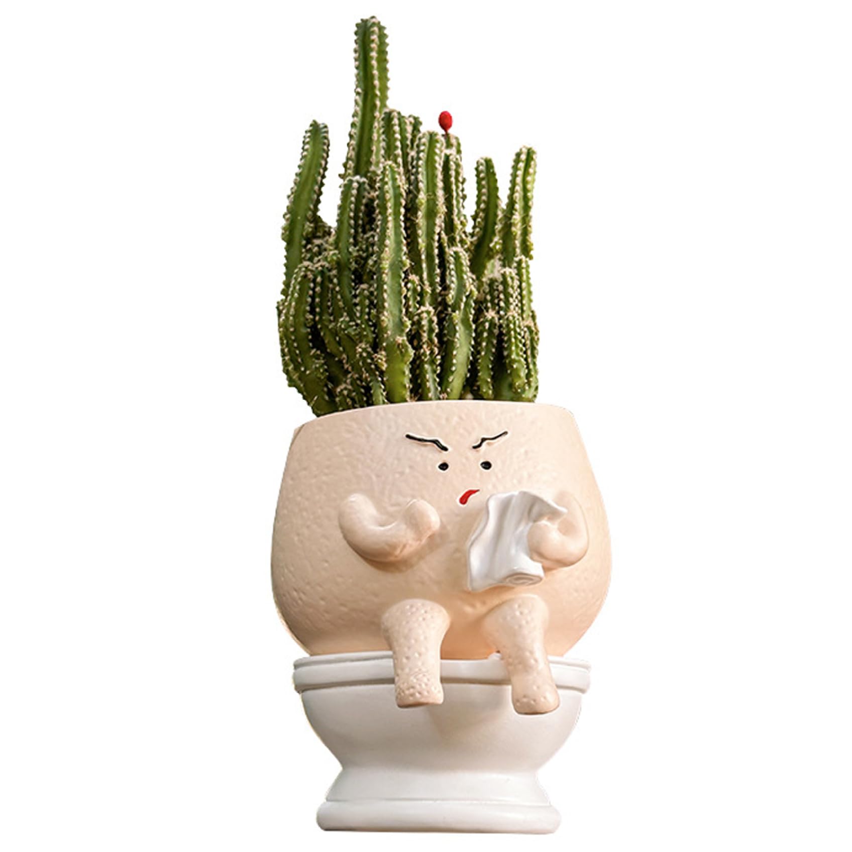 Striegro Face Planter, Funny Toilet Planter Pot with Cute Head Cute Plant Pot for Home & Office Desk Quirky Head Decor..