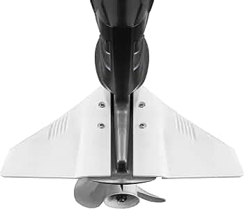 61dLoHRqMeL._AC_UF350,