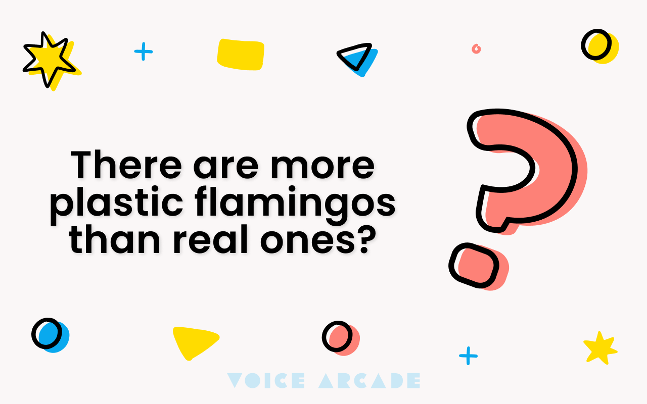 SkillHighlightsWidget_2