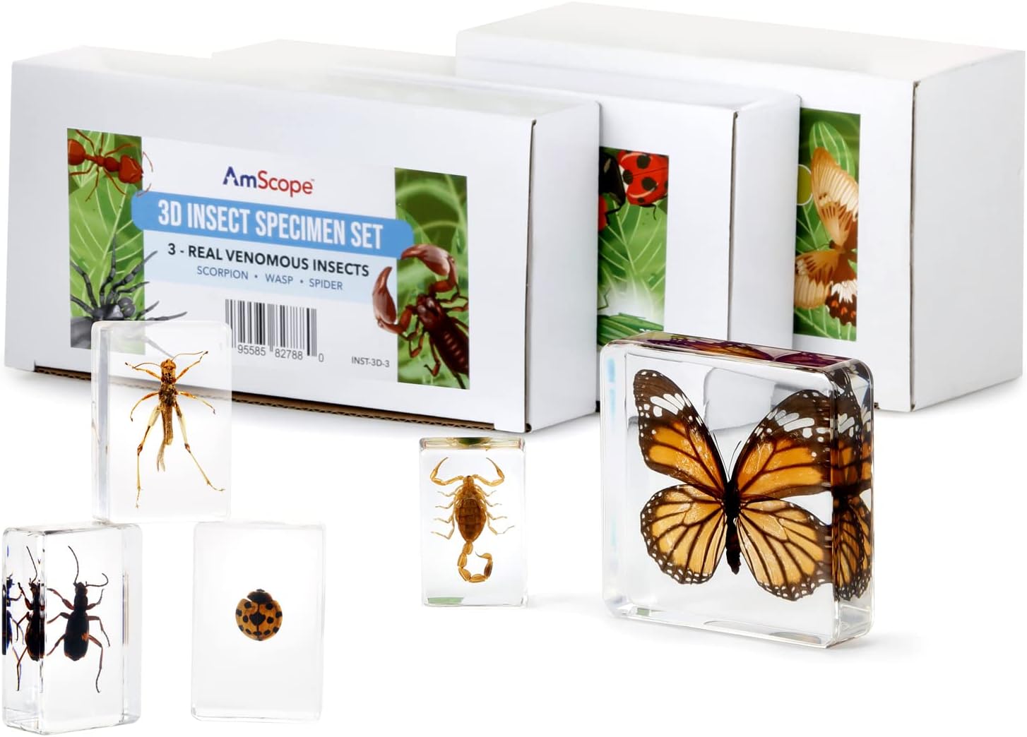 AmScope 20X-40X Student Stereo Microscope w/Premium 9pc 3D Insect Specimen Kit and Optional Digital Camera