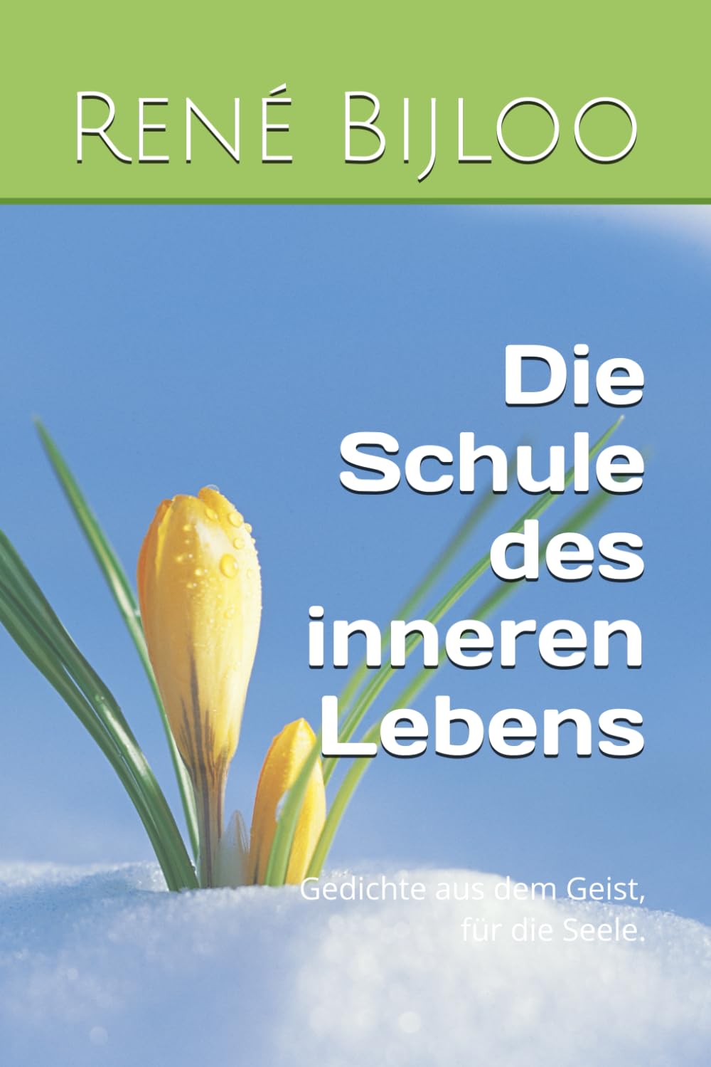 Die Schule des inneren Lebens: 144 Gedichte aus dem Geist, für die Seele.