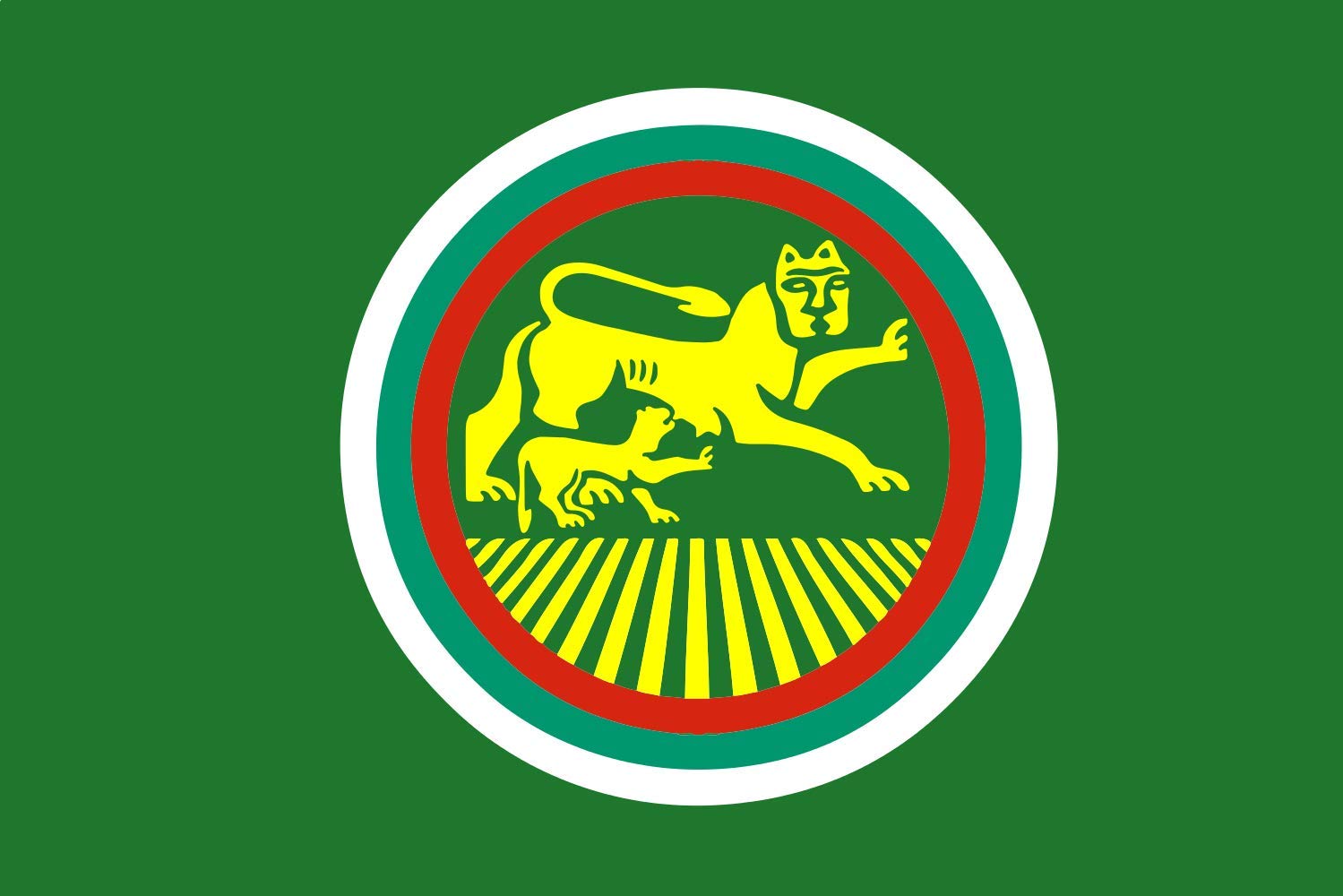 Drapeau XL Stara Zagora obverse pour mât et décoration intérieure
