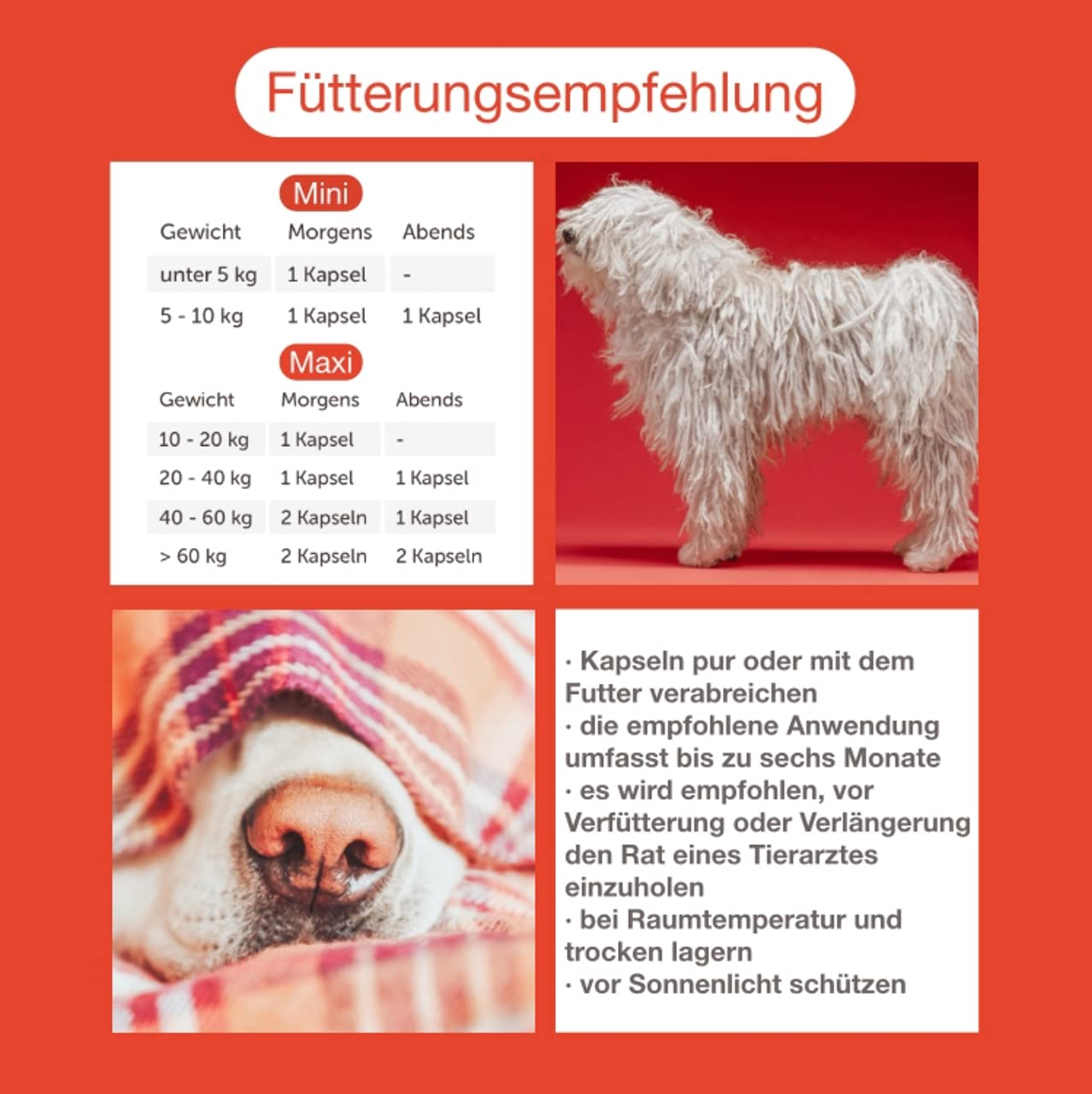 Doppelpack (200 Kapseln) CaniMove Cardio Maxi - effektive Unterstützung der Herzfunktion bei großen Hunderassen mit tierärztlicher Rezeptur
