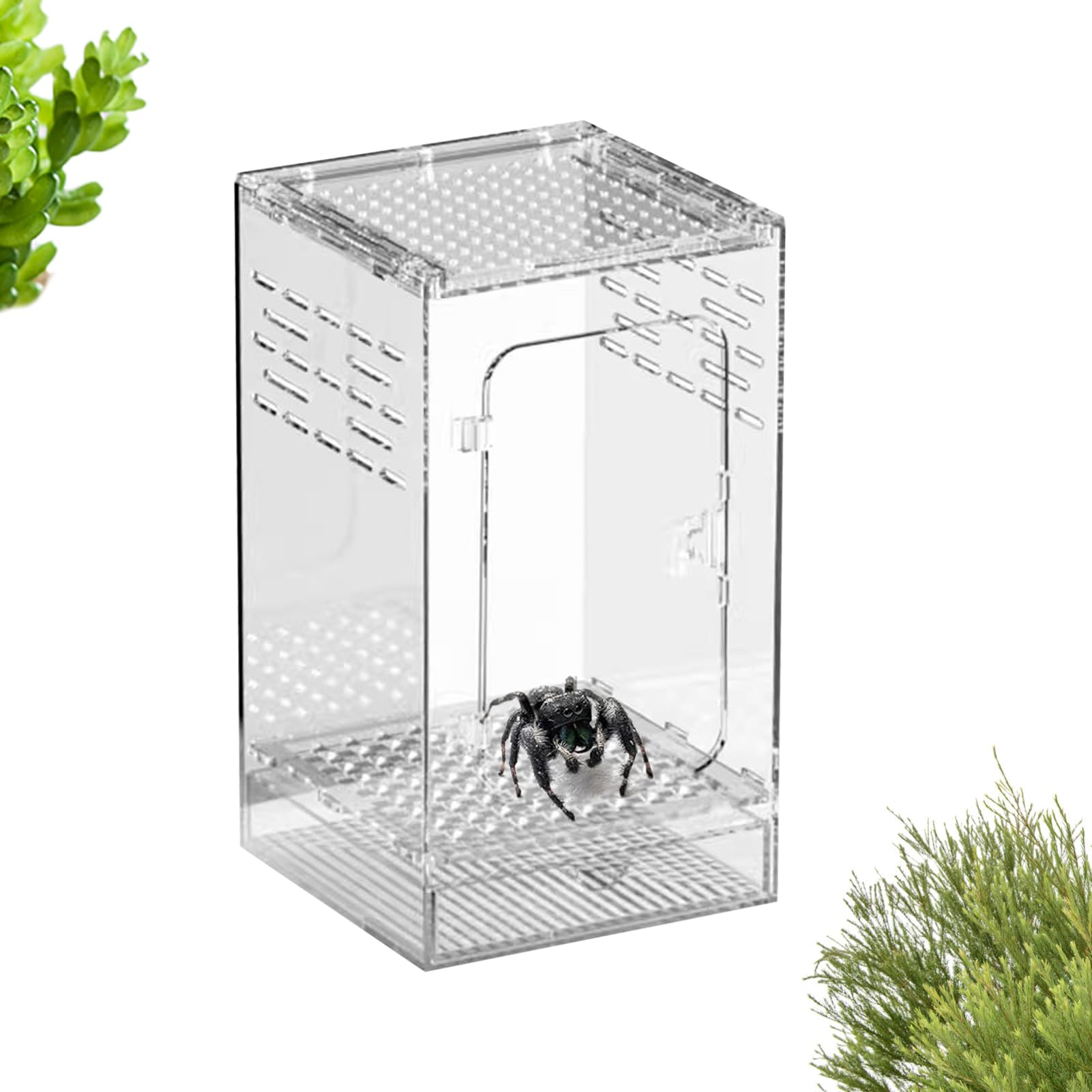 Spider Terrarium - Ventilated Acrylic Spider Enclosure | Clear Beetles Observation Box - for Reptile Lizard Gecko Mantis Crickets Scorpion Beetles Crab Snake Snail Turtle