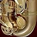 P. Mauriat LEBRAVO200A Alto Sax, Clear Lacquer with Case