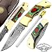 Multi Color Wood 5.5'' Custom Handmade Damascus Steel Double Brass Bloster with Sharpening Rod Folding Pocket Knife Back Lock 100% Prime Quality Come with Leather Sheath