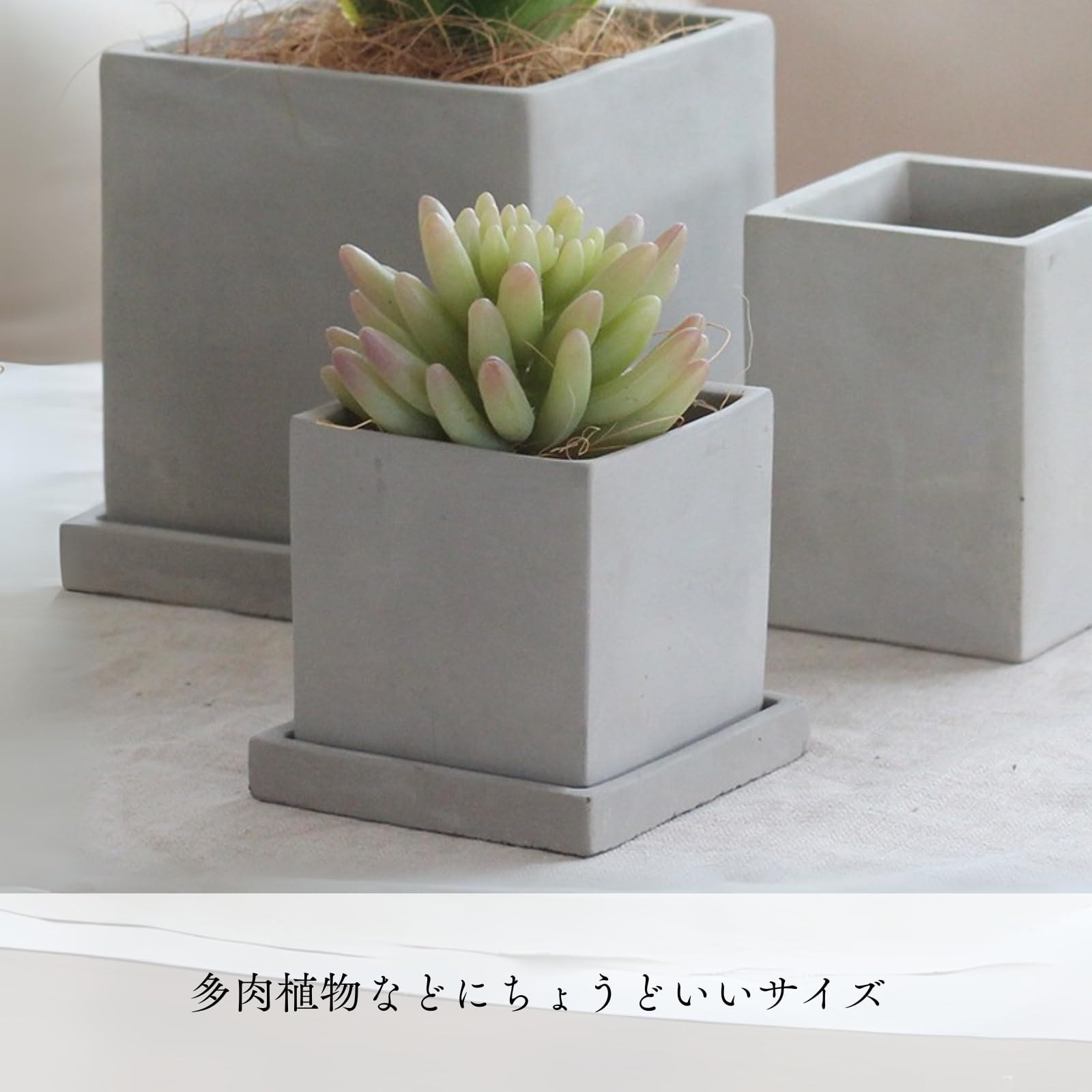 い*お様 植木鉢まとめて かっこいい植木鉢｜卓上サイズ｜白色,黒,赤,ダークグレー,ライト