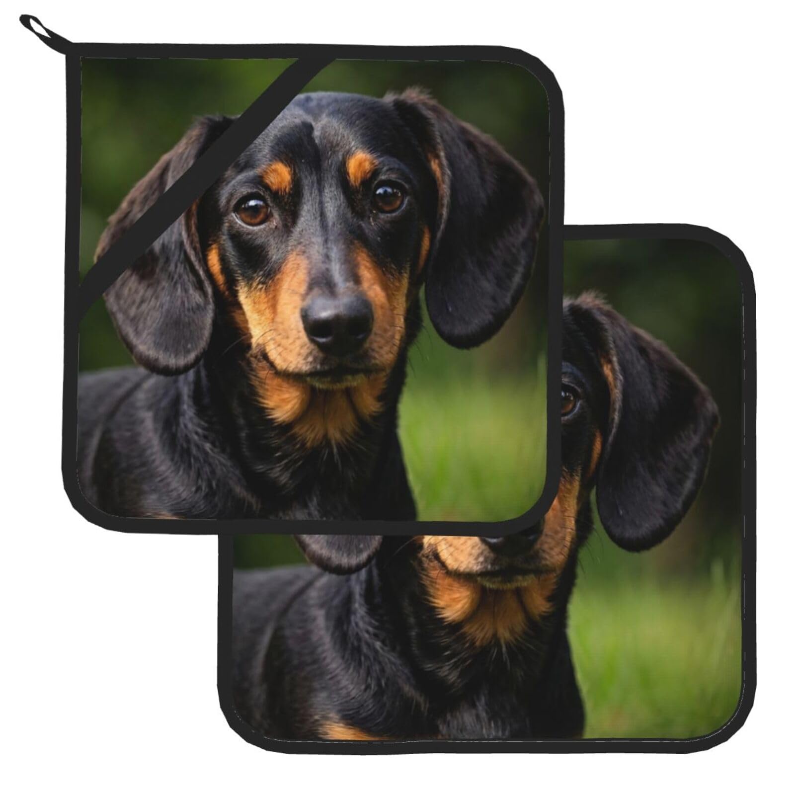 Pot Holder Set of 2 Heat Resistant Potholders My Dog Dachshunds Pot Holders Non Slip Kitchen Trivets Cooking Hot Potholder Washable Oven Mitts Oven Hot Pads for Kitchen Baking BBQ