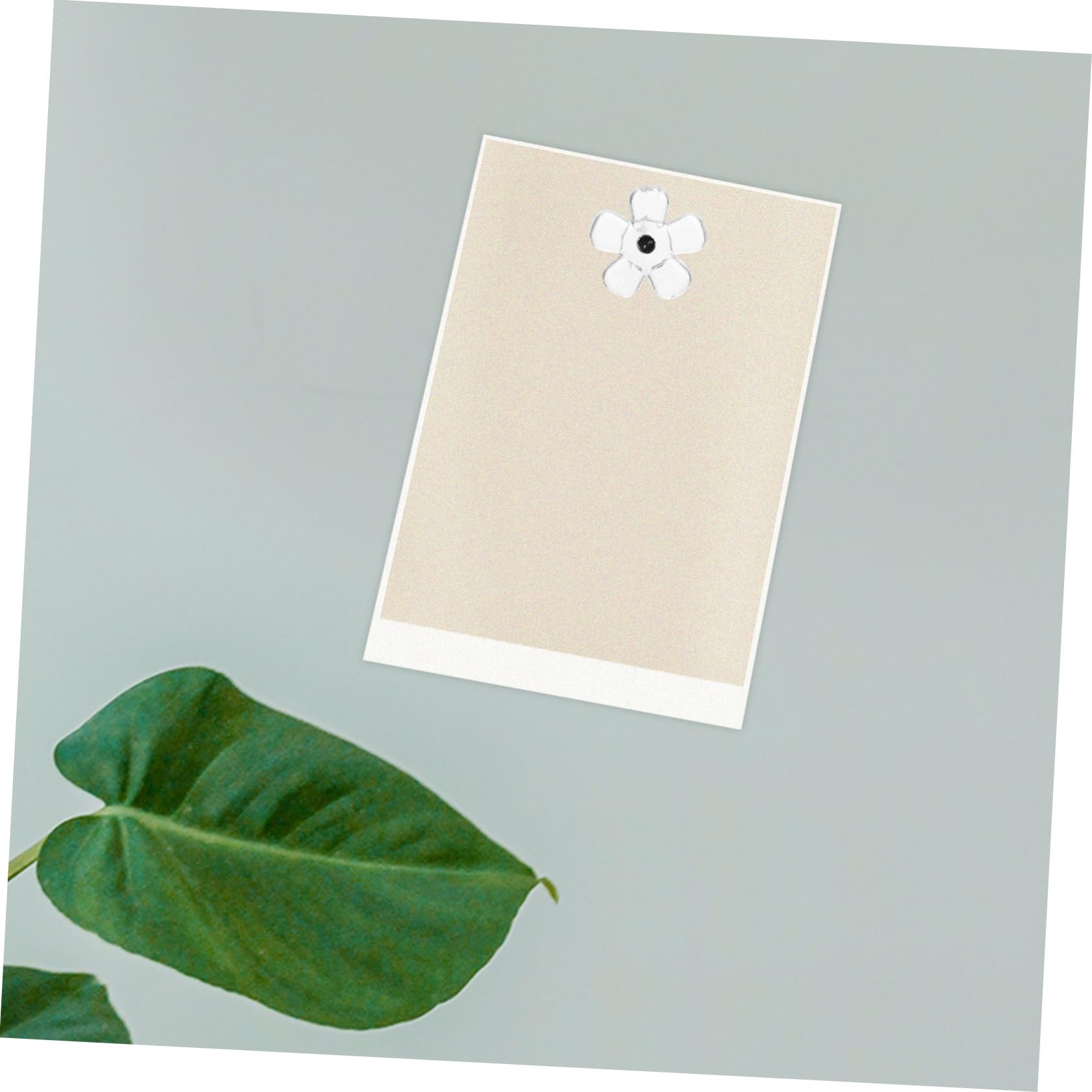 Angoily 5 Ensembles Punaises Transparentes en Forme De Fleur pour Bureau Punaises pour Tableau Punaises Transparentes pour Salle De Classe Punaises Murales Suspendues 100 pièces * 5