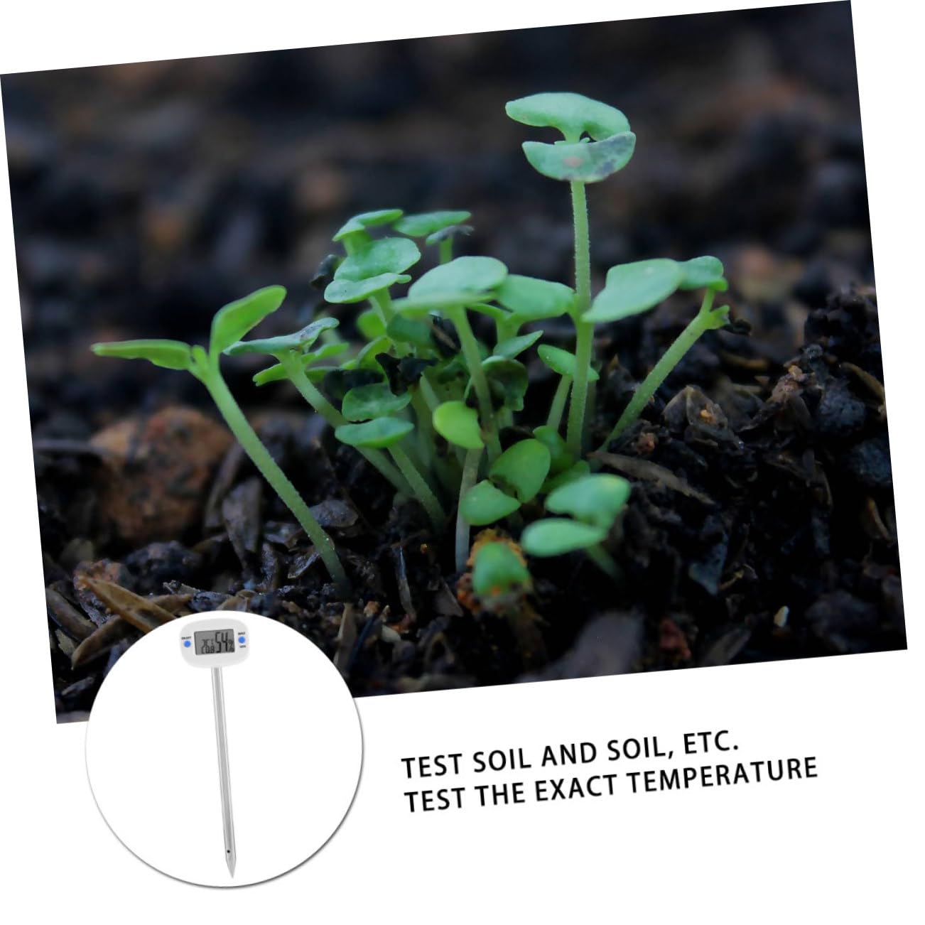 TOYANDONA 2 Piezas Termómetro de suelo planta prueba de suelo sensor para interior medidor de humedad instrumento de levantamiento de suelos probador de suelo