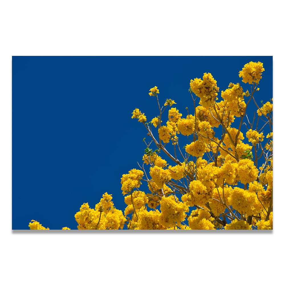 VHdfgTY Yellow And BlueNature Landscape Wall Art Canvas Mountain Scenery Print Home Decoration 50x75cm Unframed