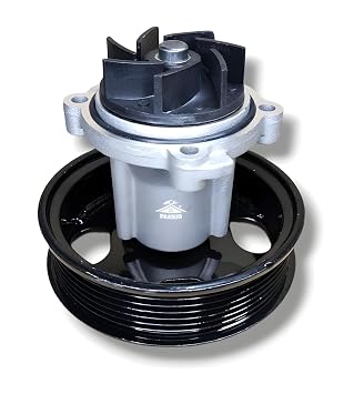 PAANJO Water Pump, Diesel Engine Compatible, Black and Silver, for Tata Zest 2014-2019 Models, Automotive Replacement Part