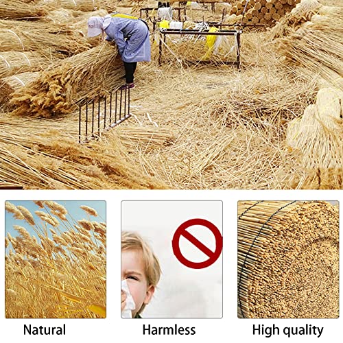 Ocazi Bamboo Roll Up Blinds Bamboo Shades Blinds Natural Roll Up Reed, Retro Reed Curtain For Windows Bamboo Blinds Roll Up Blinds For Indoor/Outdoor/Garden/Patio-W25Xh63In-Brown #TOP2