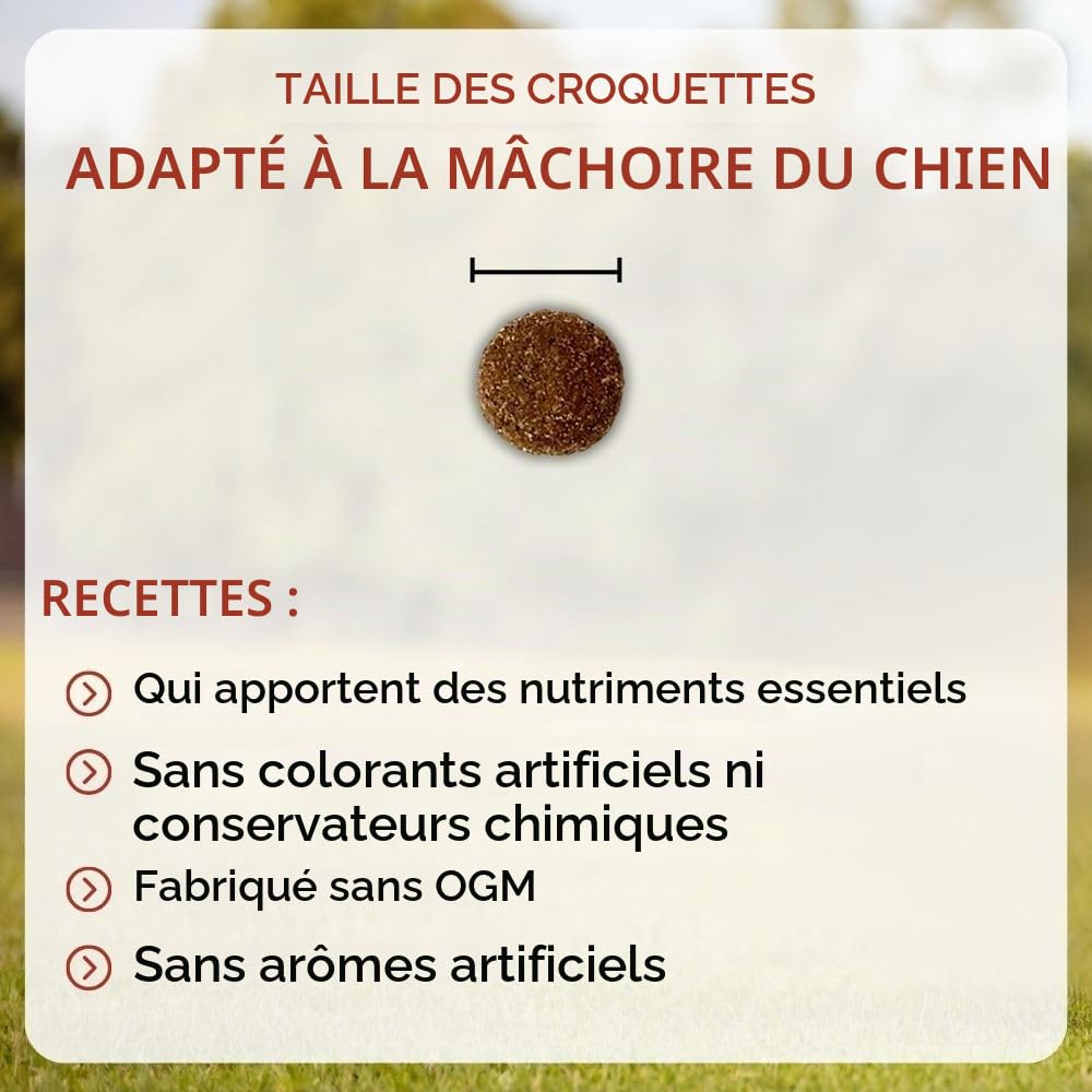 NUTRIVET - Premium Master Active - Croquettes pour Chien Adulte Actif - Poulet & Riz - 15kg