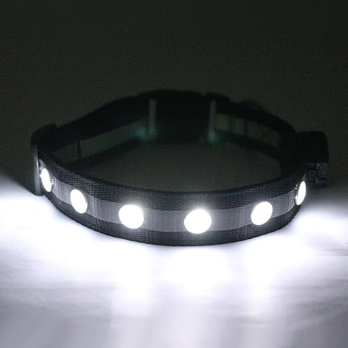 QQY Collar de Perro led, Collar de Mascota Impermeable y Luminoso Cargado por USB con 3 Modos de Collar…