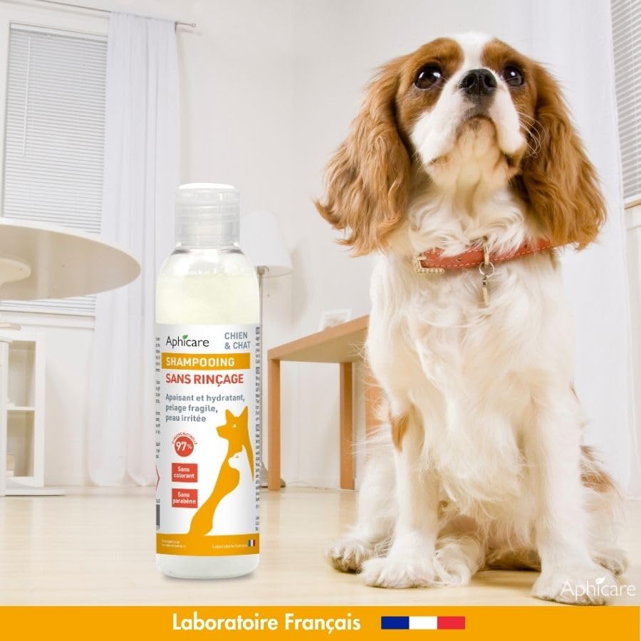 Shampooing Doux sans rinçage - Chien et Chat - Apaisant et hydratant - Pelage Fragile - Peau irritée - 97 % d’Origine Naturelle - 200 ML - Fabrication française