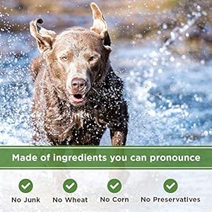 Organic Peanut Butter & Molasses Natural Dog Treats from 4Legz – Healthy, Crunchy, Vegan Biscuits for Dogs Small, Medium & Large – Made in USA Products Only, 8 Ounce (Pack of 3)