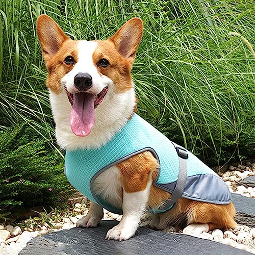 DKDDSSS Hundekühlweste, Atmungsaktiv Sommer Cooler Hundejacke, Hund Kühlweste, Cooler Komfortabler Hundemantel, für Kleine Bis Mittelgroße Hunde Aktivitäten Draußen Training (Blue, L)