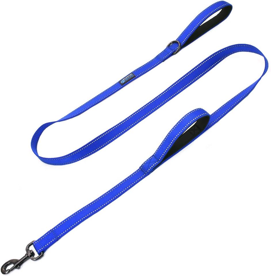 Max and Neo Double Handle Traffic Dog Leash Reflective - We Donate a Leash to a Dog Rescue for Every Leash Sold (Blue, 4 FT)