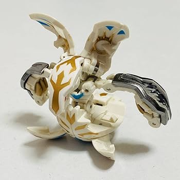 超特大法螺貝 法螺貝（中古） 2025年最新】Yahoo!オークション -法螺貝ほら貝