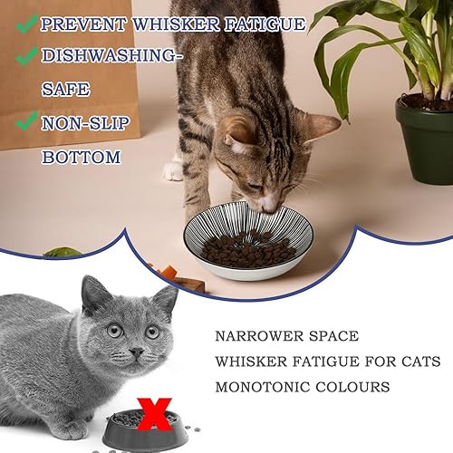 HAPPY KIT 2pcs Little Cat Bowls,5Inch Cat Food Bowl for Indoor Cats,Cute Kittens Plate/Dish/Dishes Set with Non-Slip Relief of Whisker Fatigue for Kitten - Microwave and Dishwasher Safe(Stamen&Line)