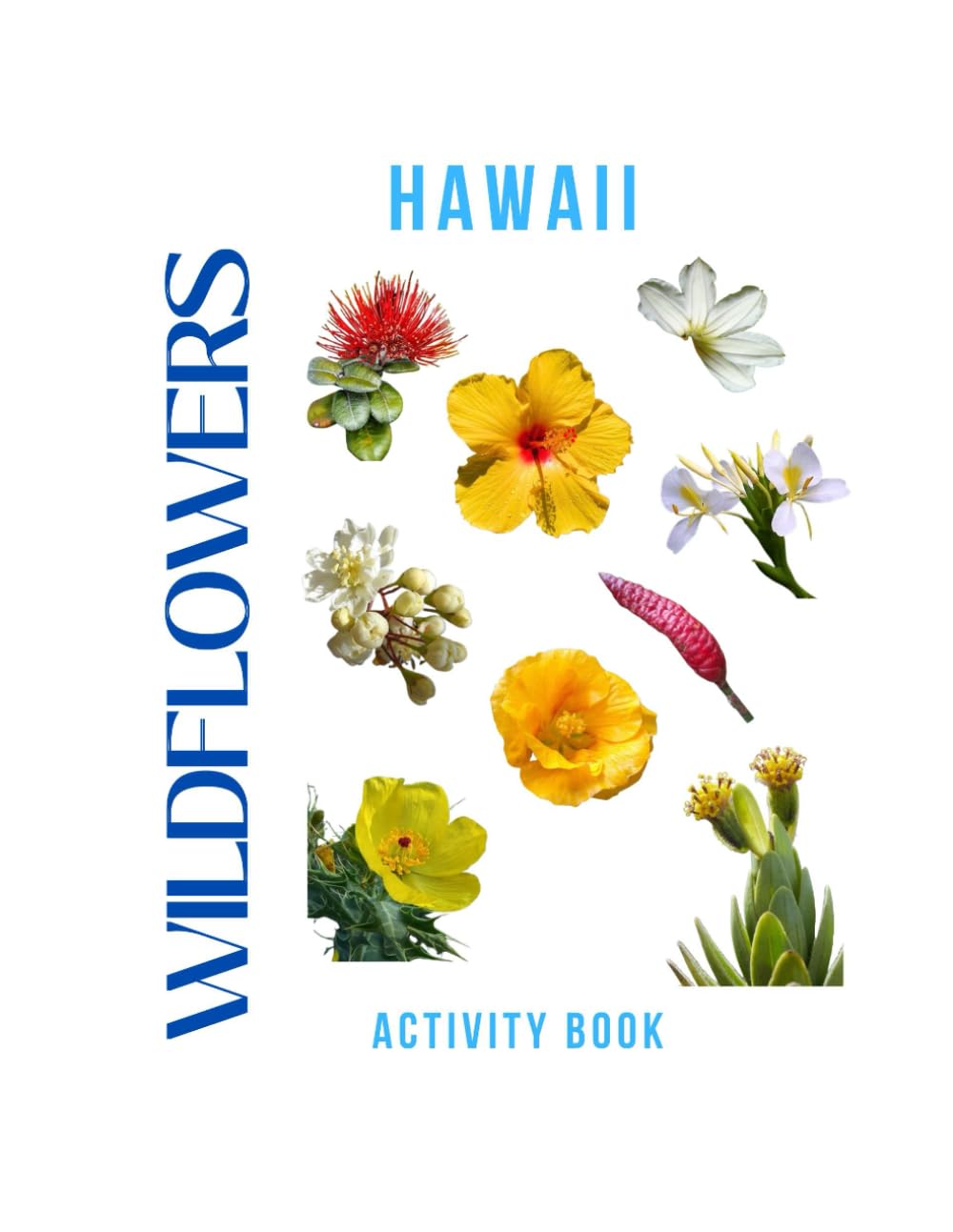 Wildflowers of Hawaii Activity Book: A Young Explorer's Field Guide to the Native Blooms of Hawaii (Hawaii Nature Explorer Series)