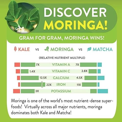 Miniatura 6 de Moringa Leaf Shaker con hoja de moringa pura con nutrientes esenciales y rico en vitaminas, aminos y oligominerales en Moringa Shaker 4.10 oz
