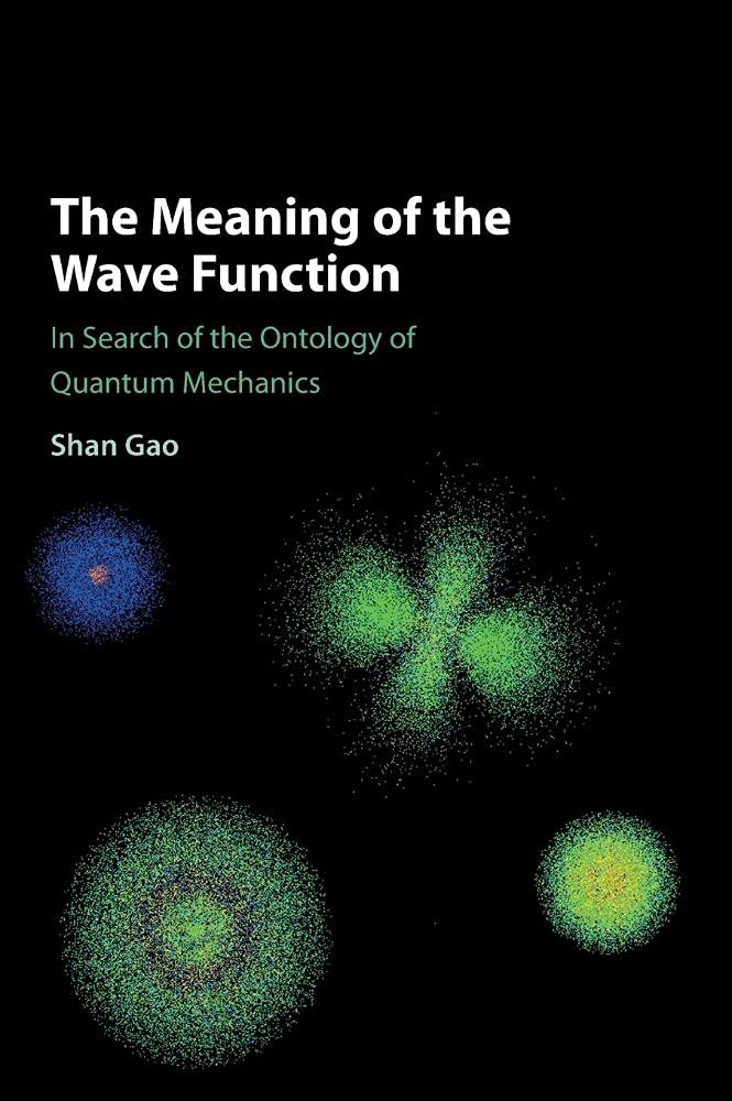 The Meaning of the Wave Function by Shan Gao - 9781107124356