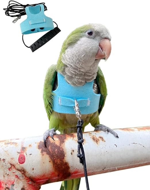 Bird Flight Harness Vest Parrot Flight Suit with Leash for Parakeets Cockatiels Conures Budgies, Bird Flying Clothes with Rope and Handle for Outdoor Activities Training (L,Blue)