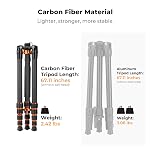 K&F Concept 68" Carbon Fibre Tripod, Camera Tripod with Fluid Head Max Load 11lbs/5kg, Compact Tripod with Monopod Compatible with Canon Sony Nikon DSLR, O255C4+FH-03