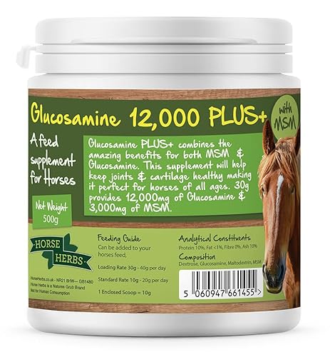 Horse Herbs Glucosamine 12,000 PLUS+ | Ready To Use Horse & Pony Supplement | Support For Equine Joints & Mobility (500g Tub)