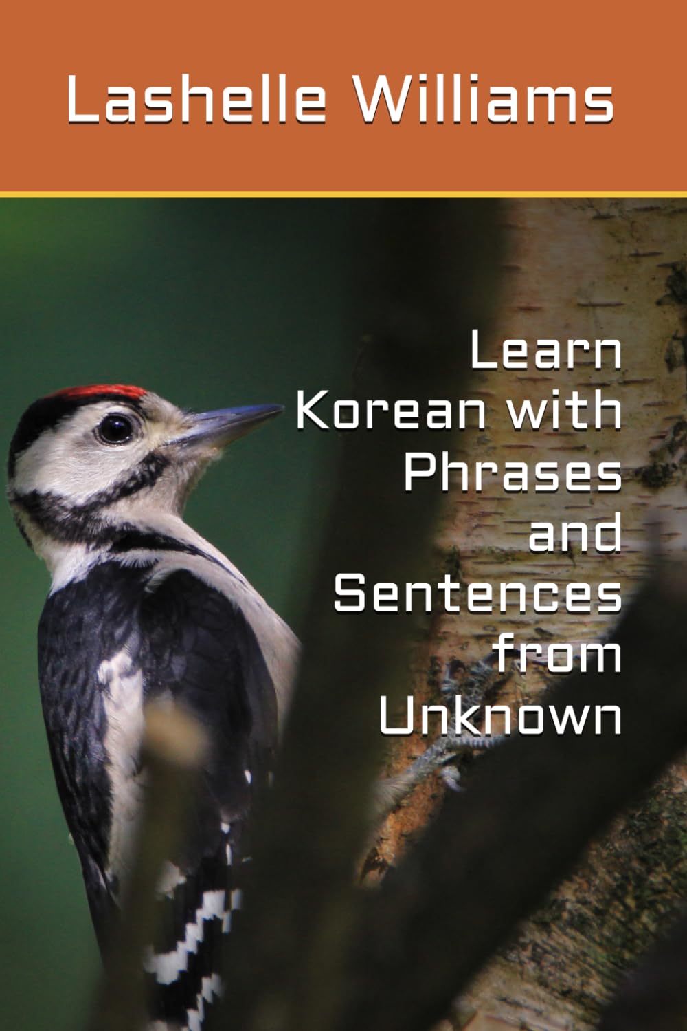 Learn Korean with Phrases and Sentences from Unknown