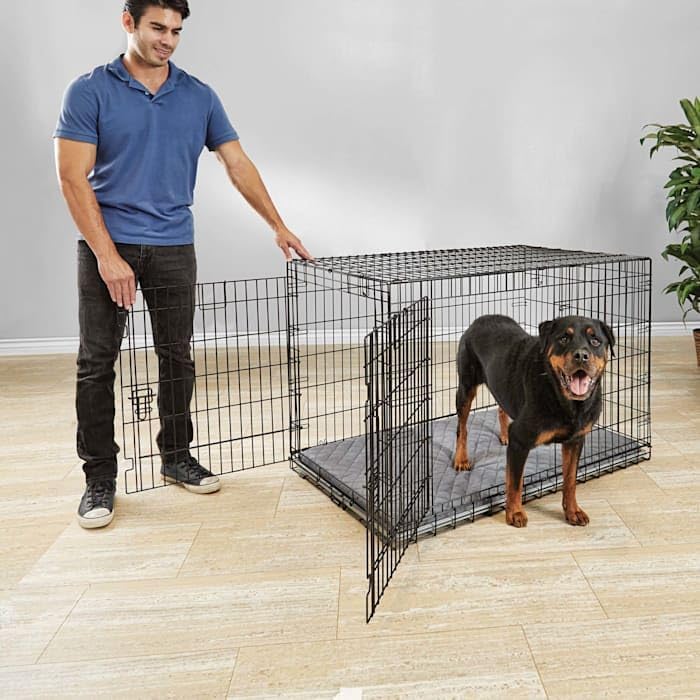 EveryYay by Petco Ultra Tough 2-Door Folding Dog Crate XX-Large 49.3" L X 29.81" W X 32.29" H Without Handles