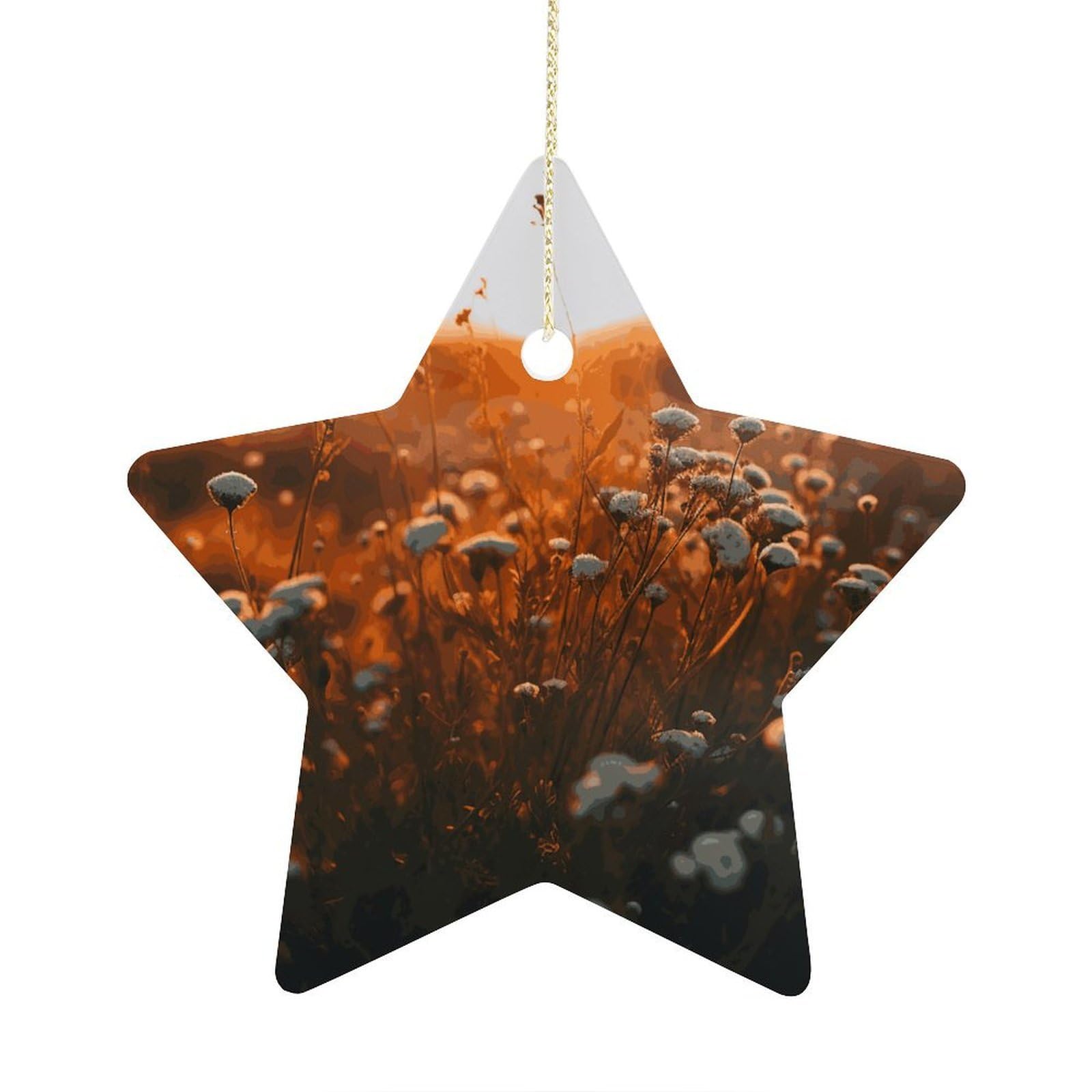 Flowers in The Sunset Stars Ornaments Ceramic Christmas Tree Hanging Light in Weight Christmas Star Pendants Funny Double-Sided Printed Xmas Ornaments for Gifts