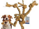 THATUWOOD 100% Coconut Fiber Dog chew Toy Safe for Dogs, Suitable for All Dog Sizes - Made in Vietnam - 1 Pack/ 2 Pieces…