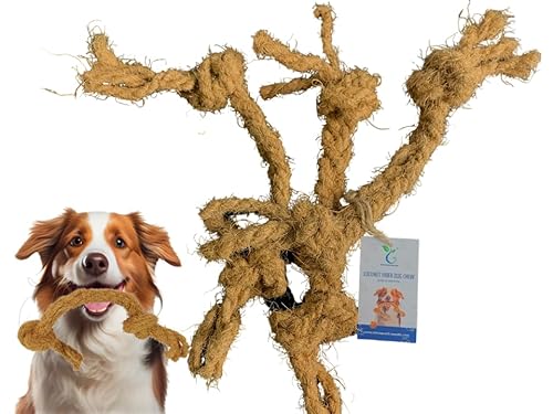 THATUWOOD 100% Coconut Fiber Dog chew Toy Safe for Dogs, Suitable for All Dog Sizes - Made in Vietnam - 1 Pack/ 2 Pieces…