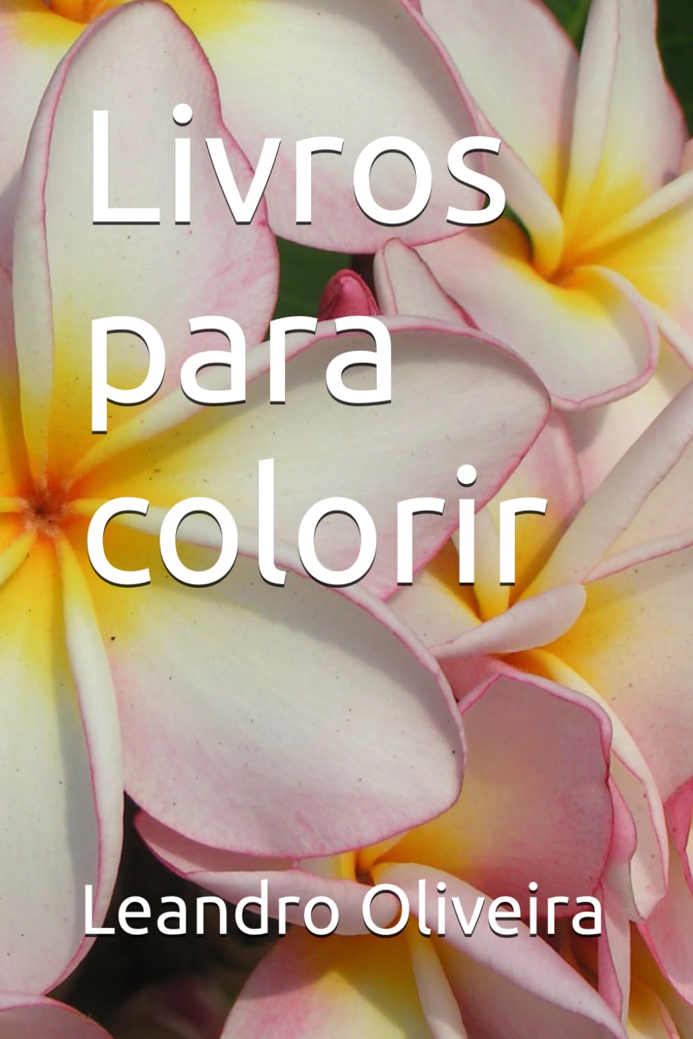 Livros para colorir