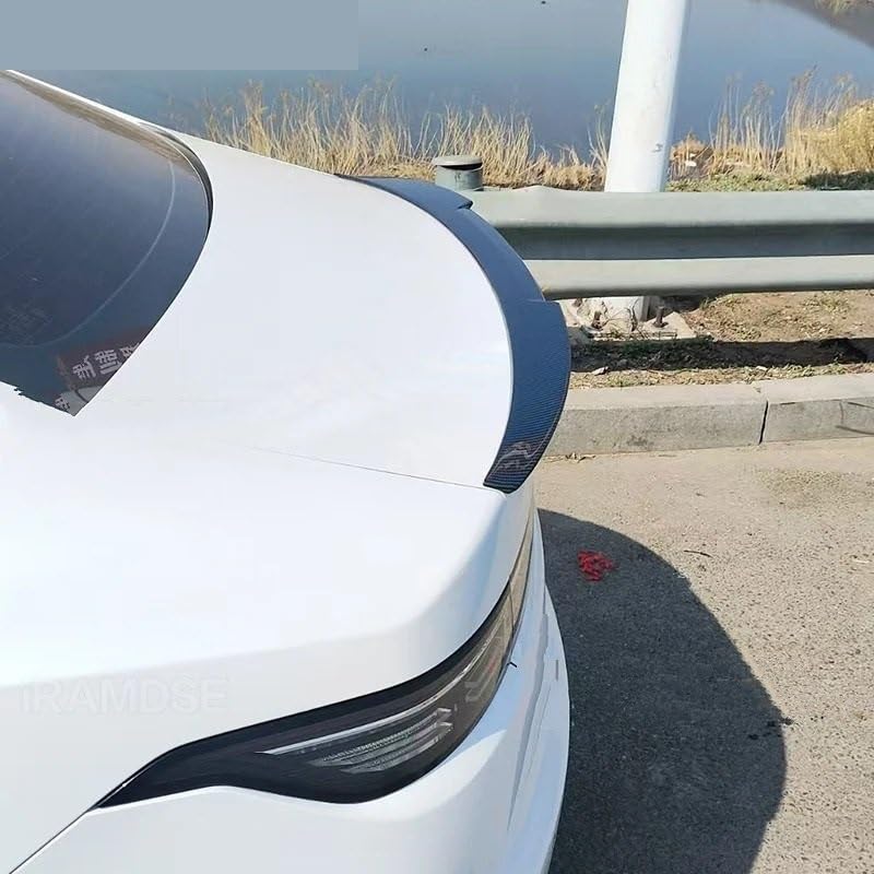 Becquet arrière et accessoires d'aileron noir BYD King 05 - 2